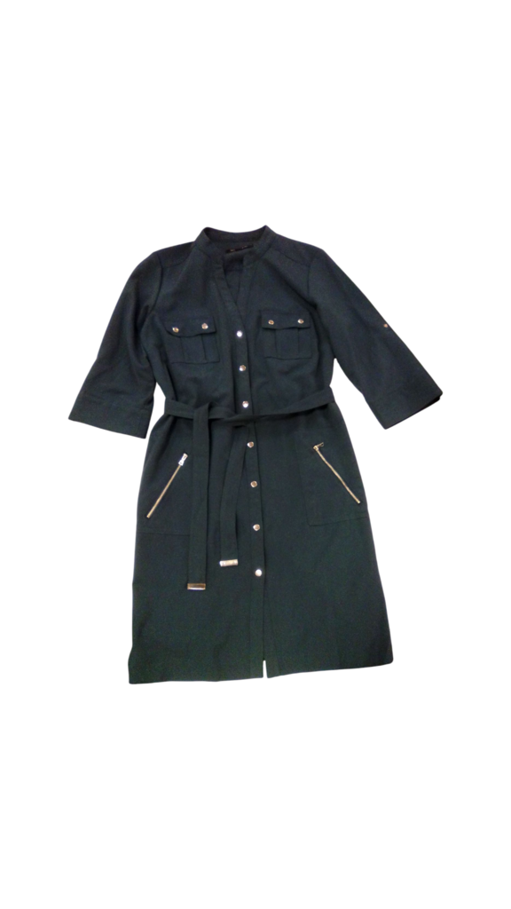Dress: Blue Button-up