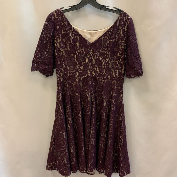 Dress: High Neck Long Sleeve Lace