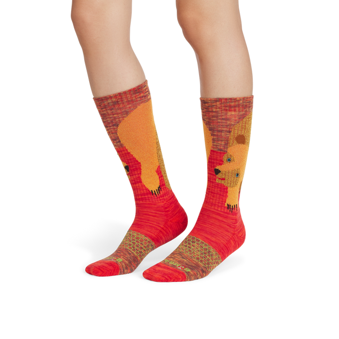 Eric Carle Big Brown Bear Calf Socks