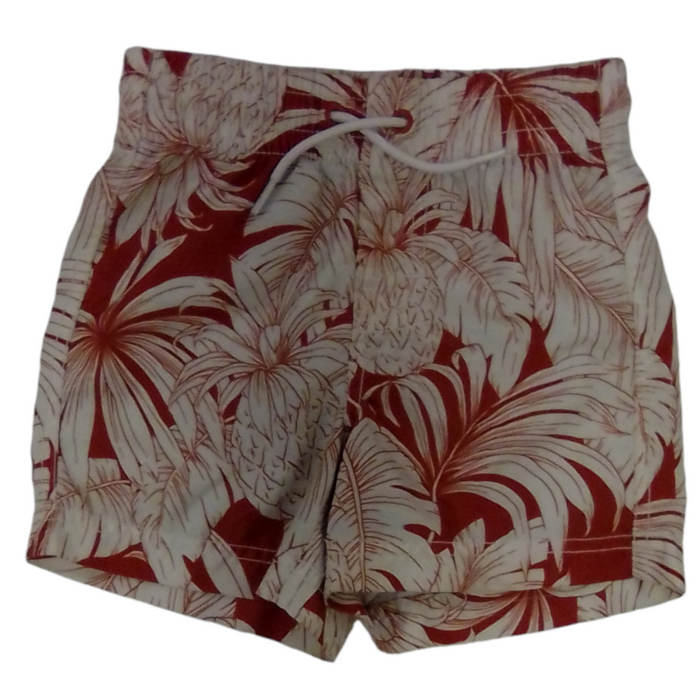 Swim Shorts:orange/forest