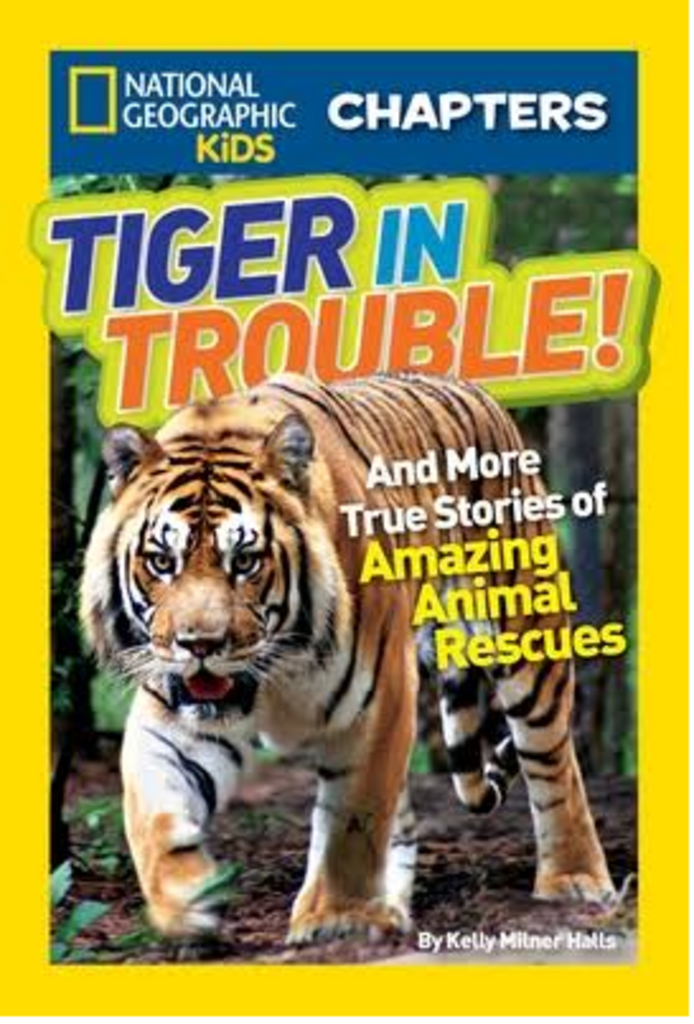 Tiger In trouble