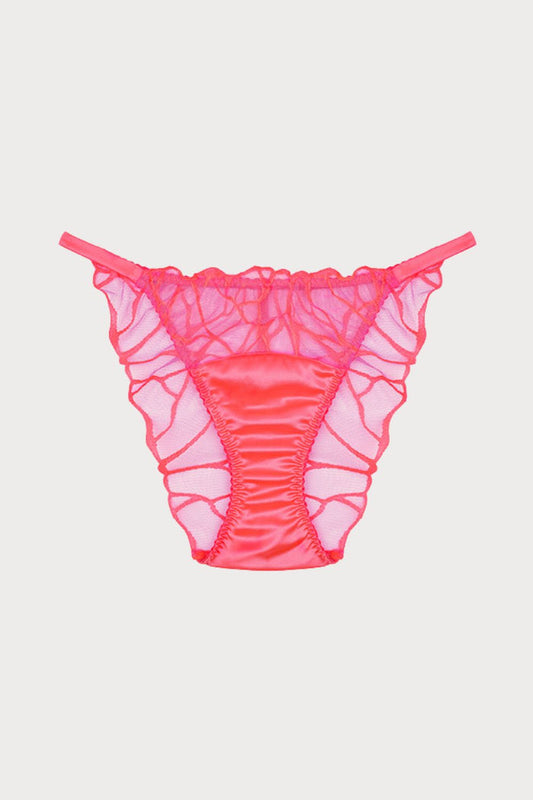 Cleo Coral Brief