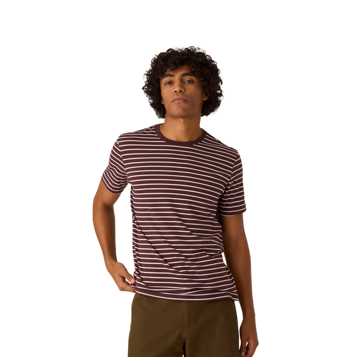 all spice / soft white stripe / 3xl