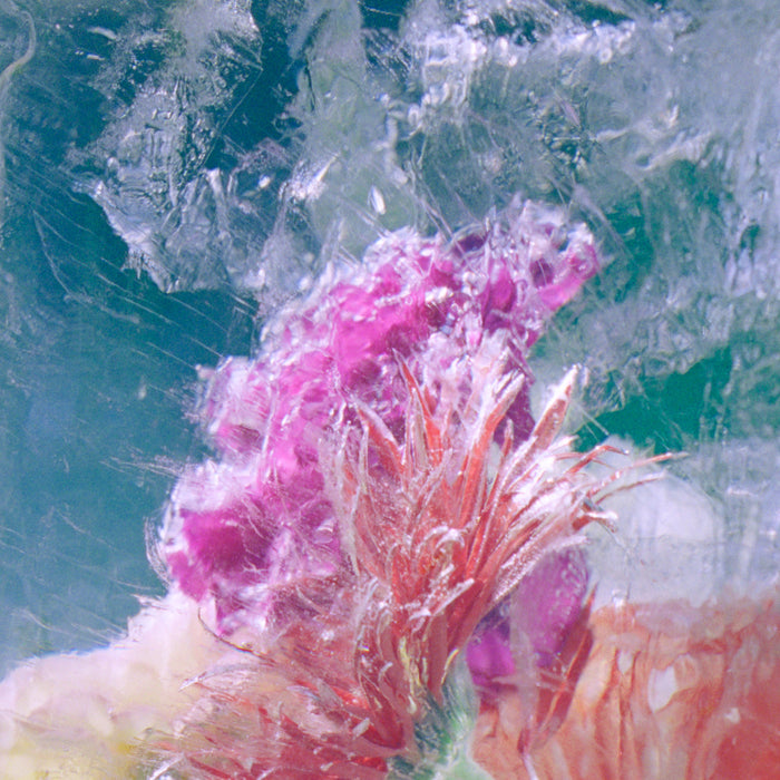 Plexiglass EP / Digital Download